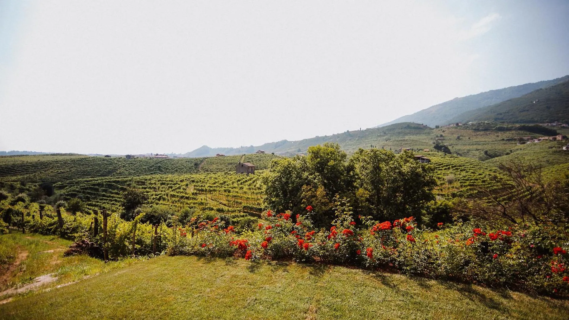 Alojamento de Turismo Rural Casa Callonga Valdobbiadene Itália